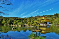 621/1000　息子と“文学の入口”を探して　