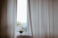 653/1000　無地のカーテンと、少し軽やかな人生　