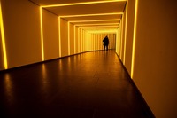 677/1000　妻は夢の中、私は8番出口の中　