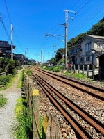長年庭に放置されていた粗大ゴミを回収して頂き、ホッとしています。